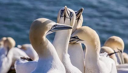 WTT多哈冠军赛：林诗栋苦战5局 3-2险胜晋级八强