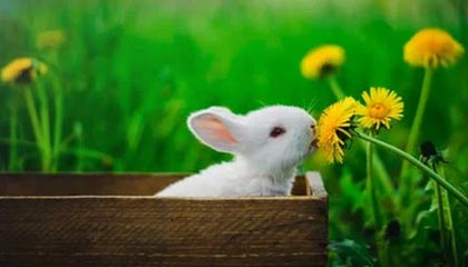 商竣程领衔北京队夺得十五运会网球青年组男团金牌